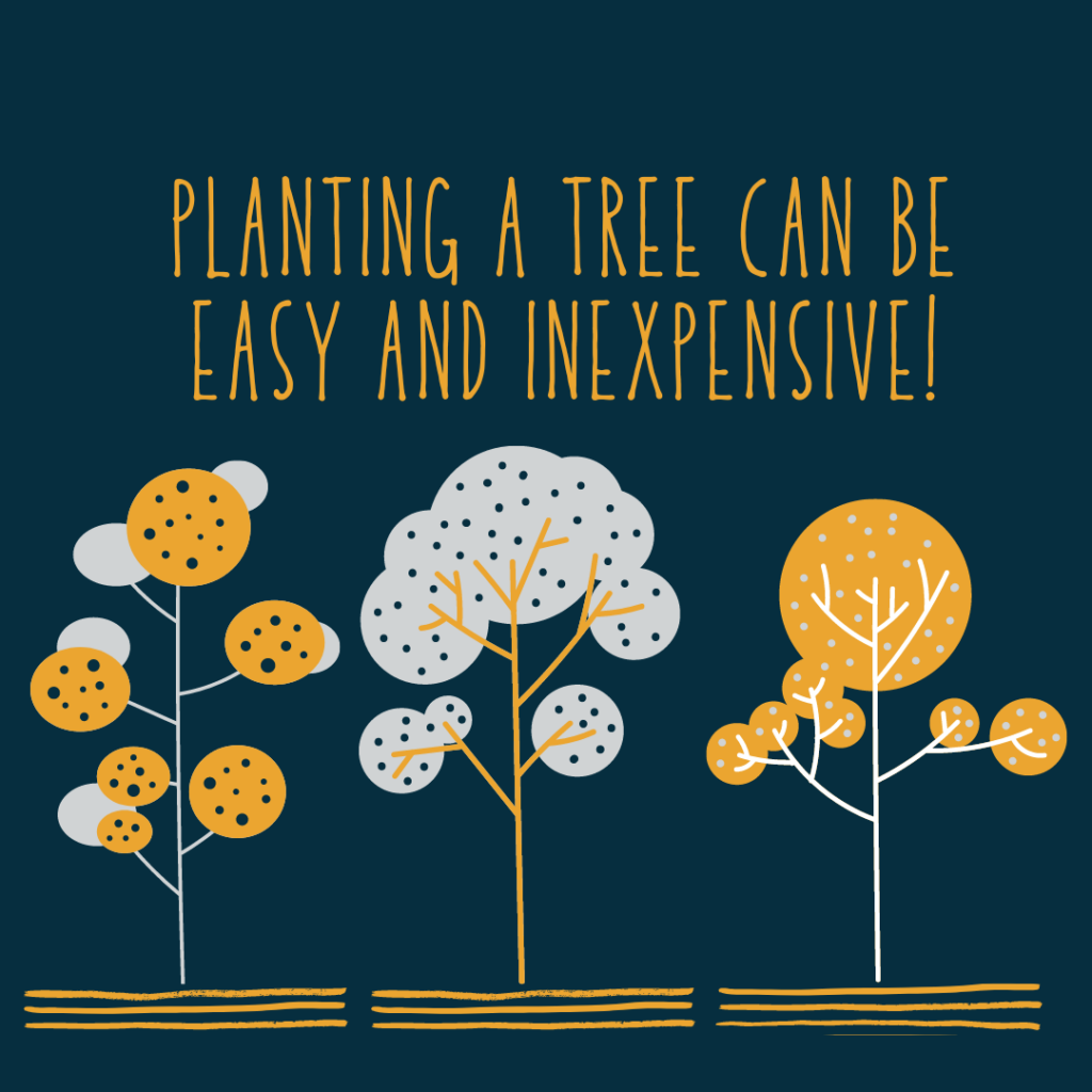 planting a tree can be easy and inexpensive