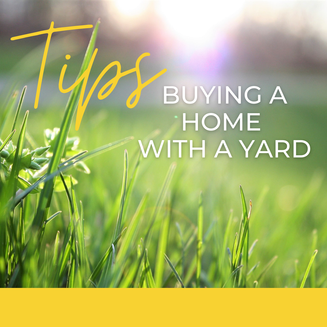 Tips For Buying A Home With A Yard