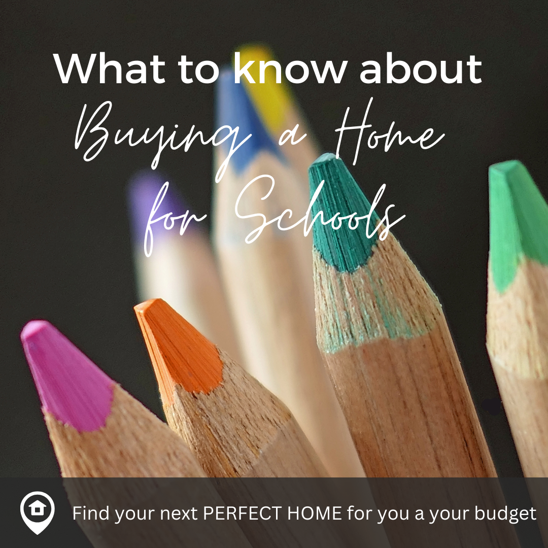 What You Need to Know About Buying for Schools